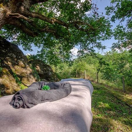 Chouvigny Gite Du Mont Plaisirヴィラ エクステリア 写真