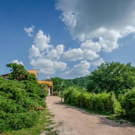Chouvigny Gite Du Mont Plaisirヴィラ エクステリア 写真