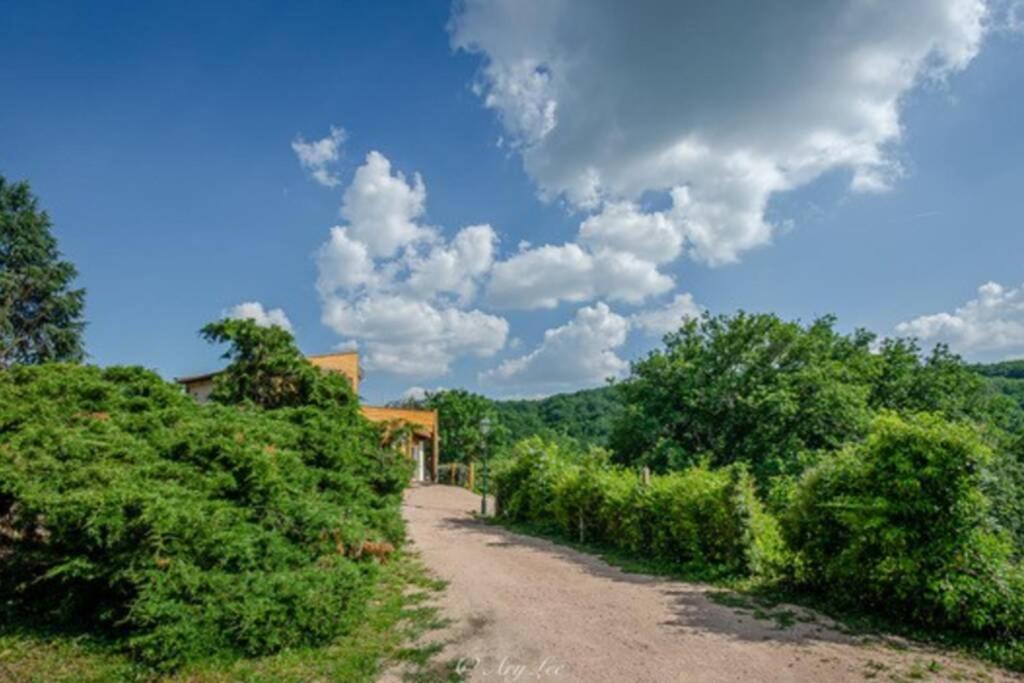 Chouvigny Gite Du Mont Plaisirヴィラ エクステリア 写真