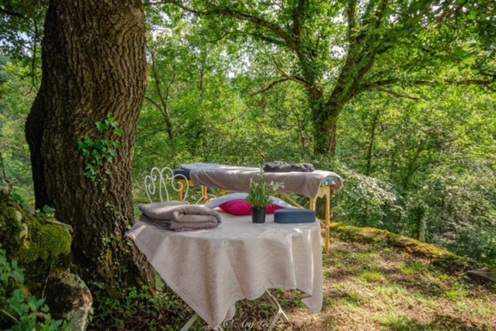 Chouvigny Gite Du Mont Plaisirヴィラ エクステリア 写真